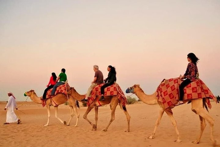 Experience the serene beauty of the desert as you enjoy a captivating camel ride at sunset creating unforgettable memories amidst golden sands and endless horizons in Dubai.